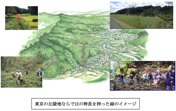 東京の丘陵地ならではの特長を持った緑のイメージ